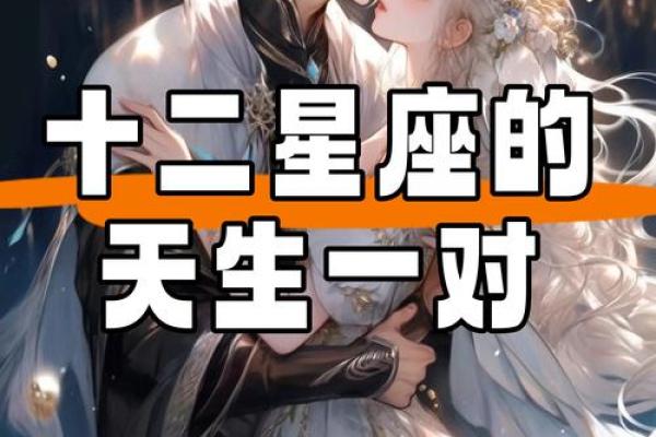 十二星座最适合的十部电视剧