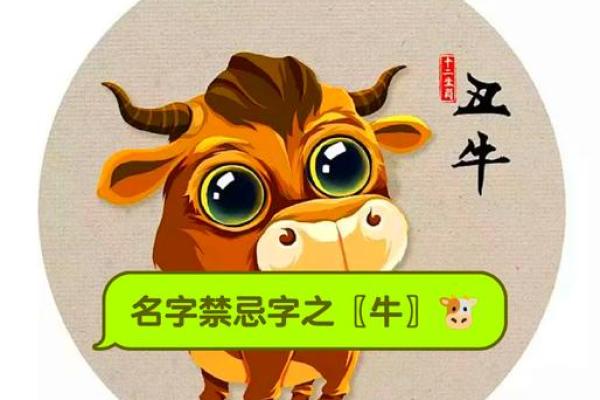 给晚上8点出生的属牛男孩起名用什么字好姓名
