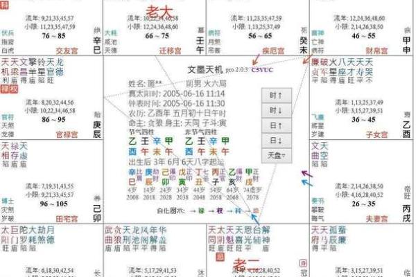 紫薇斗数文书位