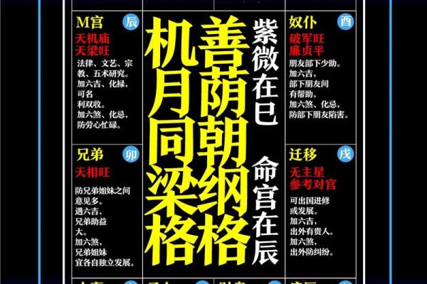 紫微斗数能断多细 紫微斗数秘断口诀？