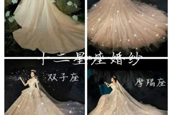 十二星座的水晶婚纱 十二星座的水晶婚纱