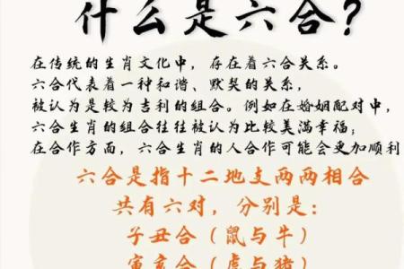 易经详解八字地支相合之六合局