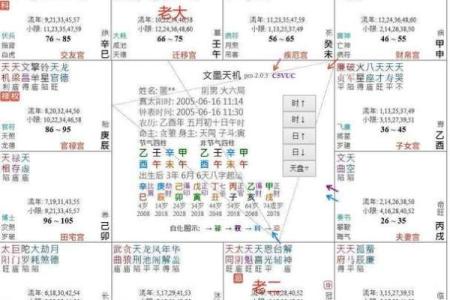 紫薇斗数文书位