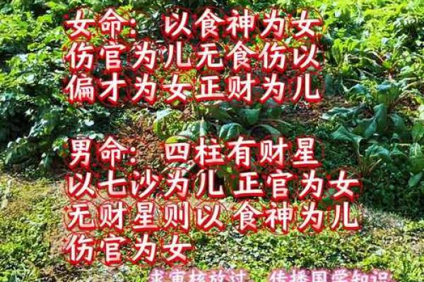 免费算命 异性缘很好的女命有哪些 免费算命 异性缘很好的女命有哪些