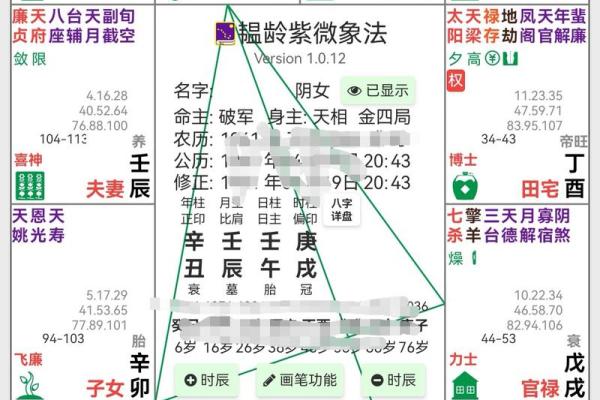 紫薇斗数领袖格局