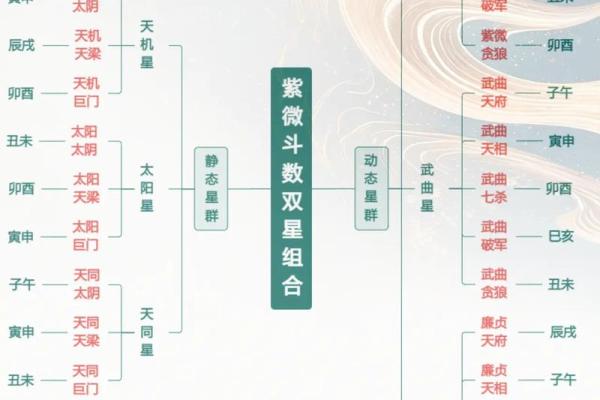 学会紫薇斗数后 学会紫薇斗数后
