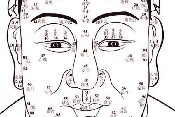 相面八字眉的面相解析与注重方法详解