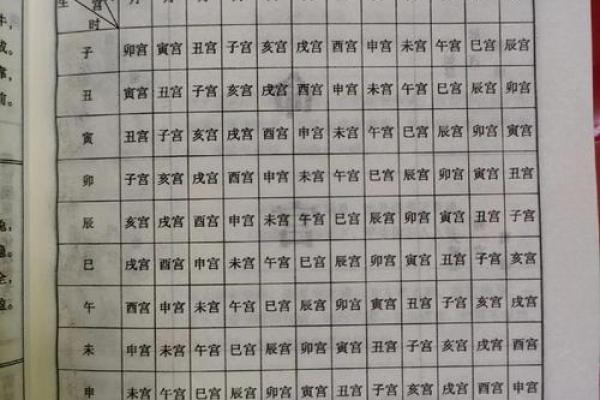 八字命宫辛亥是什么意思 八字命宫辛亥是什么意思