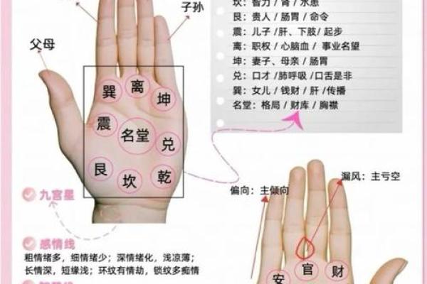 图解：手相中的事业线算命意义是