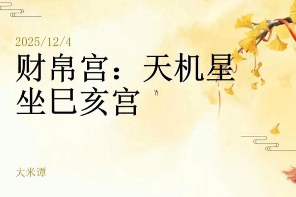 紫微斗数之财帛宫在亥宫 ，是什么意思？