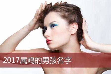 晚上出生的属鸡男孩应该怎么取名字合适姓名