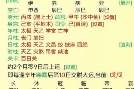 八字命宫辛亥是什么意思