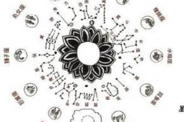 紫薇斗数星宫图