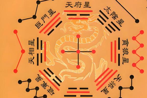 紫薇斗数太阴在戌