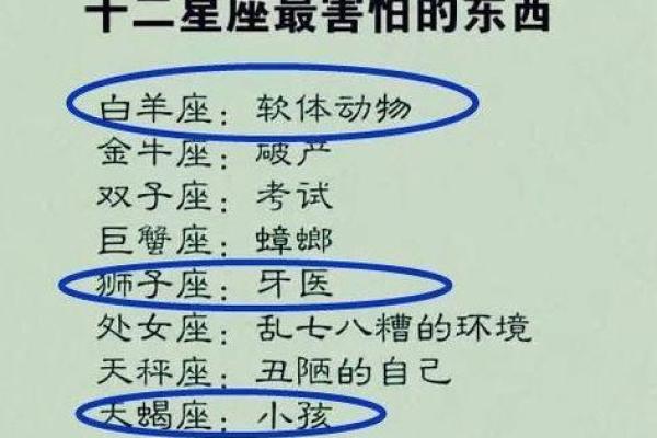 12星座的男生最害怕哪种昆虫