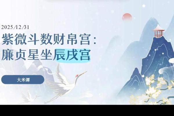 紫薇斗数财帛星