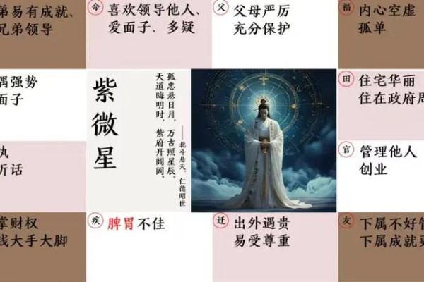 你相信紫薇斗数吗