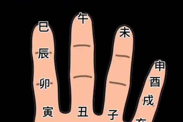 白鹤神数量指算命