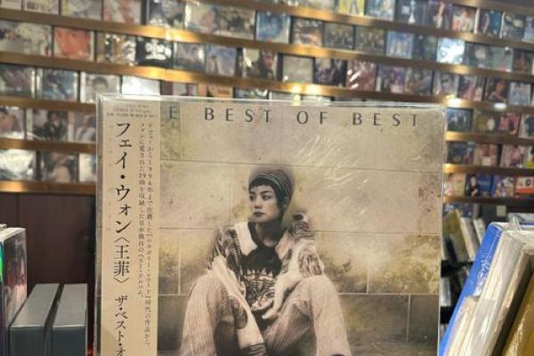 王菲紫薇斗数盘