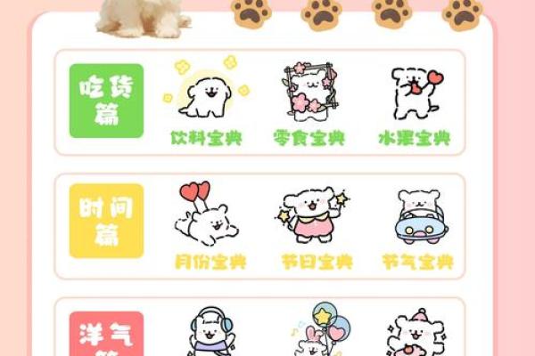 宠物用品店名字-姓名学-华易算命网姓名