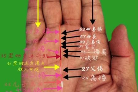 凯帝阿手相算命图解大全05