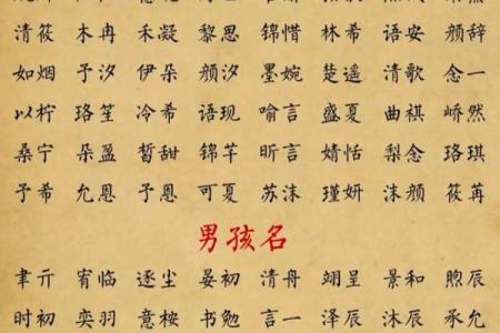 女宝宝生辰八字起名