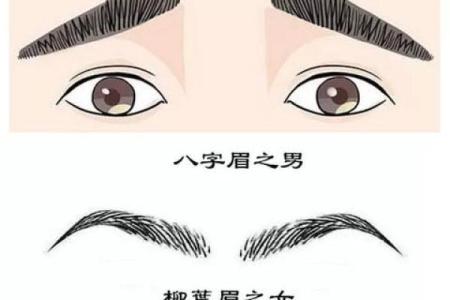 八字眉眉尾下垂的男人适合结婚吗