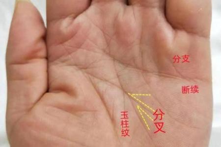 算命中的驳杂是什么意思  算命中什么叫末运