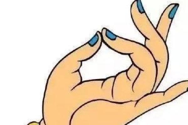 算命的手势,各种手势图片大全 算命的手势,各种手势图片大全