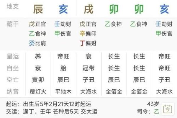 怎么看自己八字属于什么命