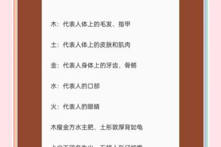 八字干支身体部位对照表