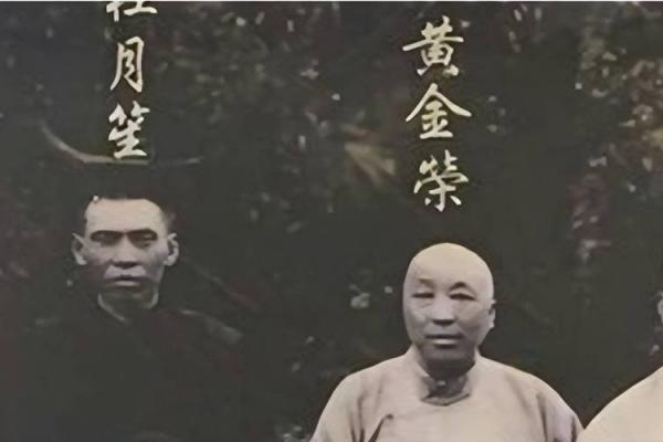 黄金荣紫薇斗数