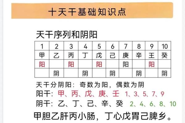 八字命理入门基础知识「方便初学」 八字命理入门基础知识「方便初学」