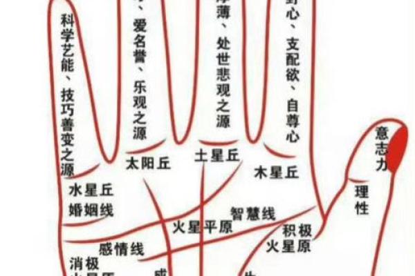 图解：手相中的感情线算命