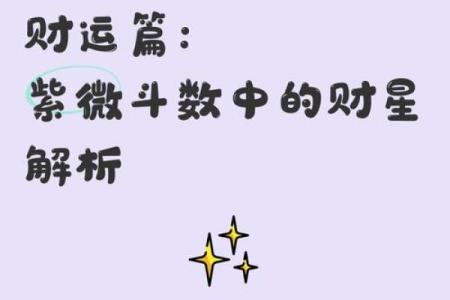 紫薇斗数中哪些属于财星