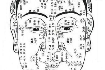面相解析：额头面相算命图解