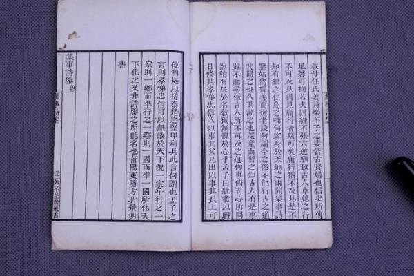 紫云紫薇斗数视频