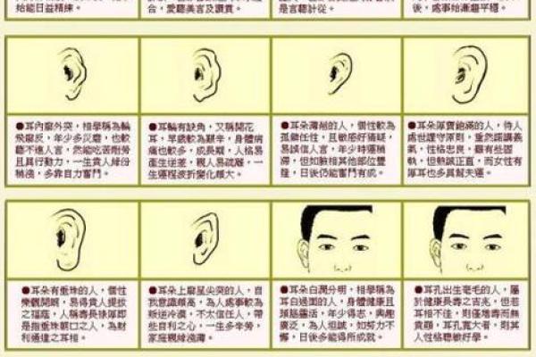 教你怎么成为旺夫的的女人,面相算命图解 教你怎么成为旺夫的的女人,面相算命图解