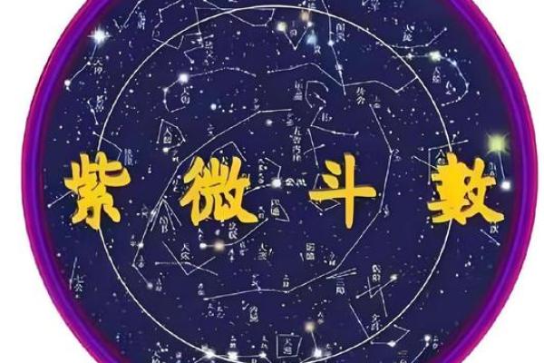 紫薇斗数与子平术