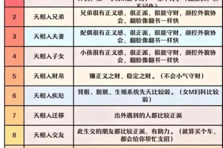 中州派紫薇斗数特点