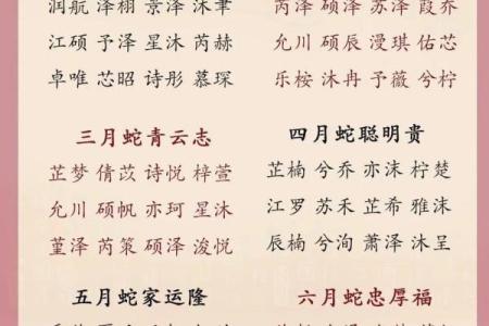 2019年5月25号子时出生的男孩要怎么起名字姓名