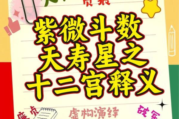 紫微斗数之基本术语