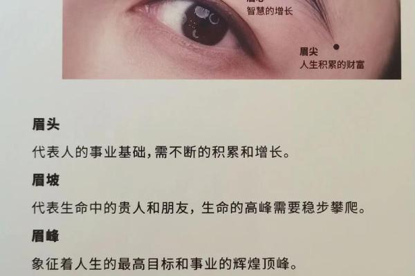 面相图解-八字眉面相算命及特征 面相图解-八字眉面相算命及特征