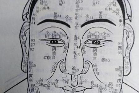 紫薇斗数科名星