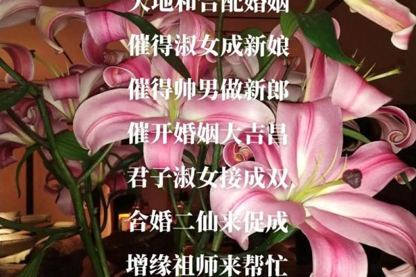 看八字断桃花运 看八字断桃花运