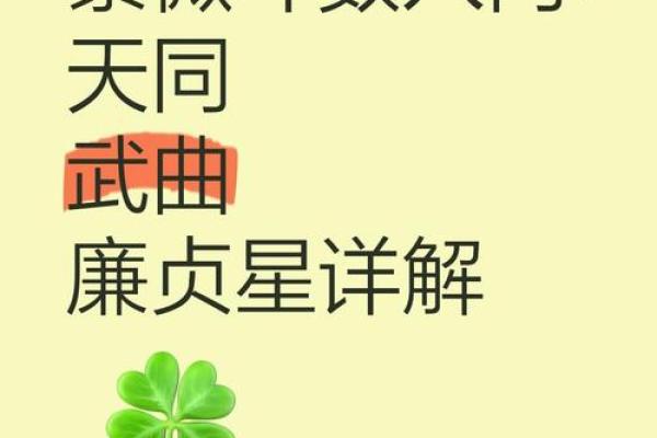 紫微斗数之福德宫与诸星，廉贞星在福德宫是什么意思？