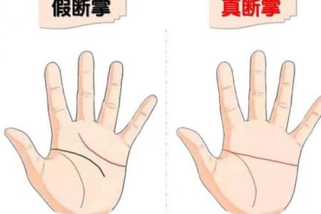 男人断掌手相算命,男人掌纹图解算命