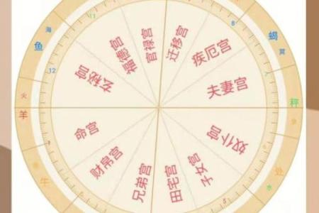 斗数杂谈】中州派十二宫定义 紫微斗数的星盘共分十二宫