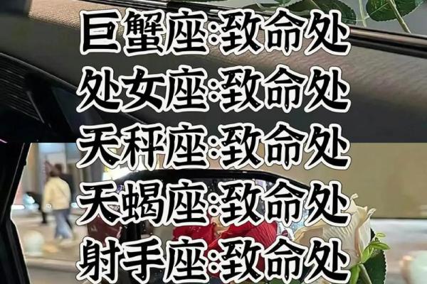 最有出息 成功人士最多的星座男