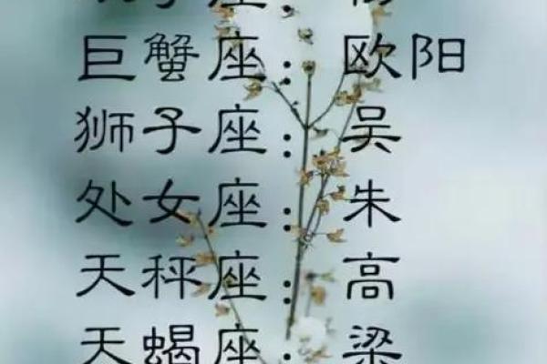 12星座专属古风句子